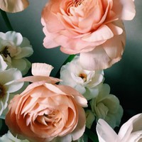 Profile Picture of Elaina Foster-adams (@elaina-foster-adams) on Quora