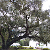 Profile Picture of Rick Rush (@rickrush1795) on Youtube