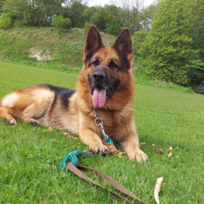 Profile Picture of Graham Fitzgerald (@grahamfitzy) on Twitter