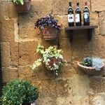 Profile Picture of Tony-Louise Pischedda (@louise_pischedda1) on Instagram