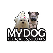 Profile Picture of Joyce Chow (@joycechow4047) on Youtube