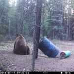 Profile Picture of Shawn Denton (@big_iron_outfitting) on Instagram