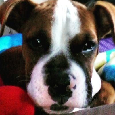 Profile Picture of Gregory Dugan (@dugan_gregory) on Twitter