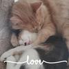 Profile Picture of Dawn Ames (@@dawnames) on Tiktok
