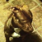 Profile Picture of jeff grieve (@jeff_grieve) on Instagram