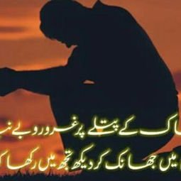 Profile Picture of Humera Ahmed (@humeraahmed951) on Twitter