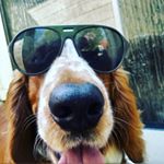 Profile Picture of Chris Bohlander (@chris.bohlander) on Instagram