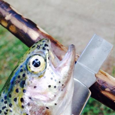 Profile Picture of Bill Without A Trout (@billisnotafish) on Twitter