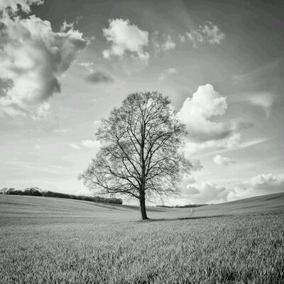 Julian Day - Twitter Profile Picture of Julian Day (@JulianDay_Hove) on Twitter