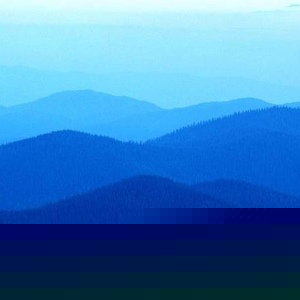 Frantz Jay Germain - Myspace Profile Picture of Frantz Jay Germain (@202325150) on Myspace