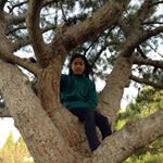 Profile Picture of Sophia Peng (@sophia101gsw) on Instagram