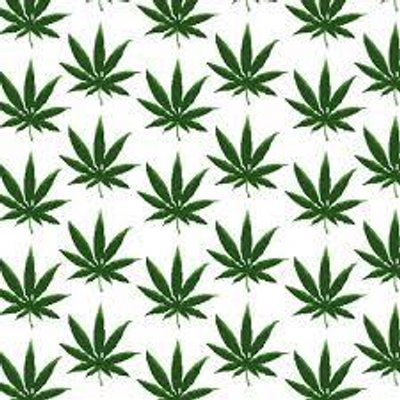 Profile Picture of Richard Therrien (@Rich_Therrien) on Twitter