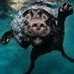 Profile Picture of Mark Read (Scooby) (@mark.scooby.read) on Facebook