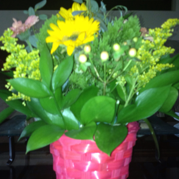 Michelle Melucci - Poshmark Profile Picture of Michelle Melucci (@mmelucci) on Poshmark