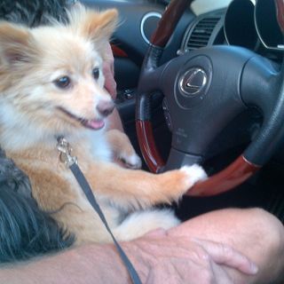 Profile Picture of Bryon Collins (@bryonrcollins) on Facebook