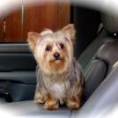 Profile Picture of Latanya Meadors (@matthewpayton) on Pinterest