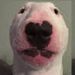 Profile Picture of RAYMOND WINTER (@raymondw0174) on Pinterest