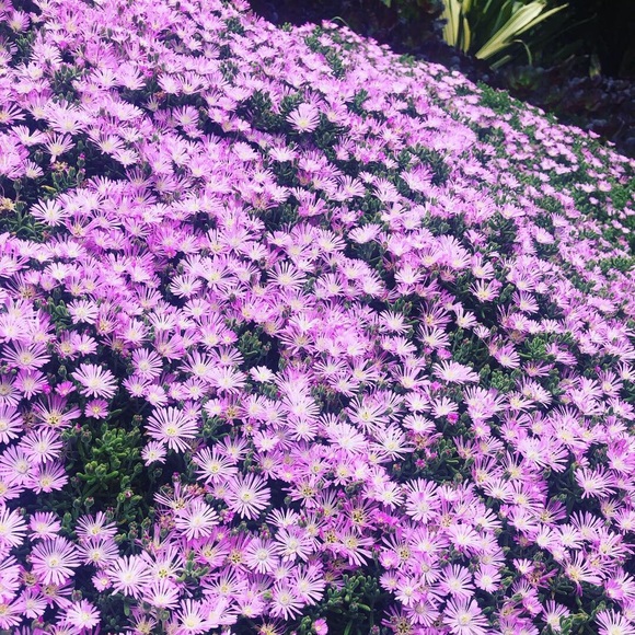 Esmy Koslik - Poshmark Profile Picture of Esmy Koslik (@ekos190) on Poshmark