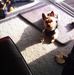 Profile Picture of Joyce Trowbridge (@joyce.trowbridge.12) on Facebook