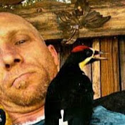 Profile Picture of Adam Mock (@adammock8057) on Youtube