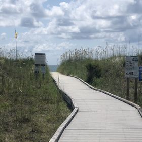 Profile Picture of Kristie Blevins (@dirtdigger178) on Pinterest