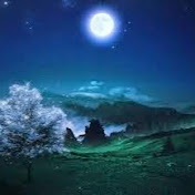 Profile Picture of Masho Menabde (@mashomenabde4264) on Youtube