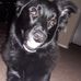 Profile Picture of Julia Dowell (@samson.dowell.3) on Facebook