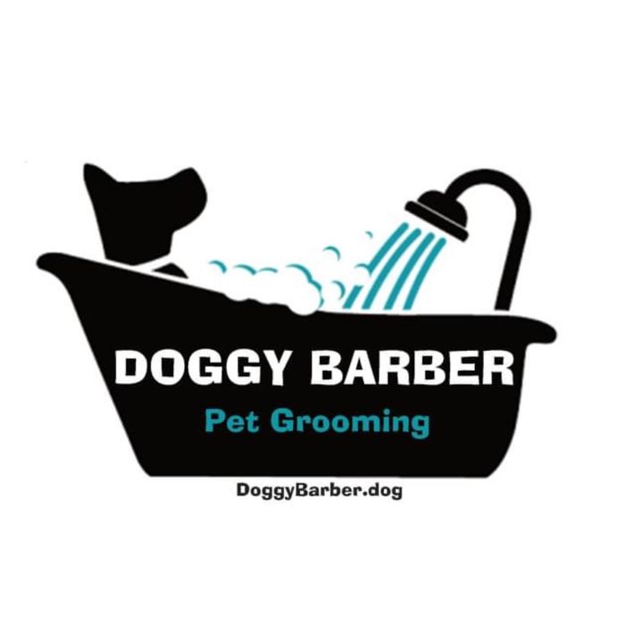 Profile Picture of Paula Pippin (@doggybarberpetgrooming) on Tiktok