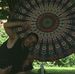 Profile Picture of Christopher Strobel (@christopher.strobel.9) on Facebook