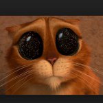 Profile Picture of albert.timmerman (@albert.timmerman) on Instagram