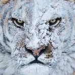 Profile Picture of Scott Maynard (@ghostmaynard) on Facebook