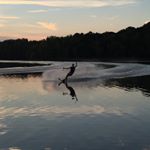 Profile Picture of Travis Wooten (@buckshot445) on Instagram
