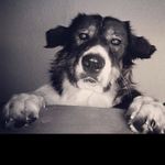 Profile Picture of Jerry Kopsaris (@jerryfromgreece) on Instagram