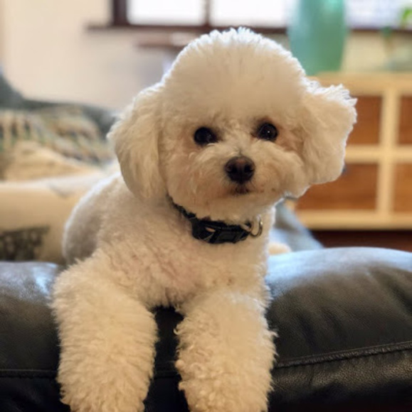 Profile Picture of Lisa Murison (@lisamurison04) on Poshmark