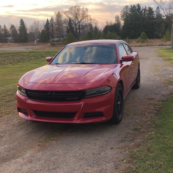 Profile Picture of Cassidee Stewart (@cassidee1906) on Poshmark