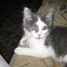 Profile Picture of JoAnne Seymour (@joanne.seymour.71) on Facebook