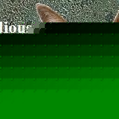 Profile Picture of Brad  Thiele (@378392270) on Myspace