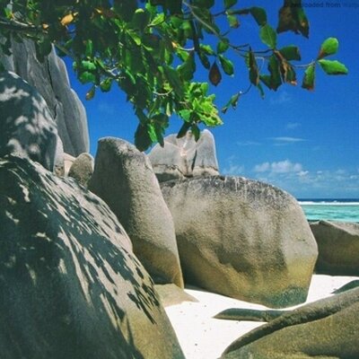 Profile Picture of Michaël LAMOTTE (@Mikkeynea) on Twitter