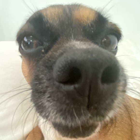 Tashanna Akerman - Poshmark Profile Picture of Tashanna Akerman (@tashannaaa) on Poshmark