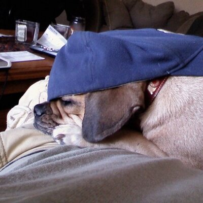 Profile Picture of Sean Diskin (@fonzie2277) on Twitter