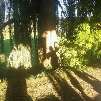 Profile Picture of Maria Sampson (@biketrenches) on Twitter