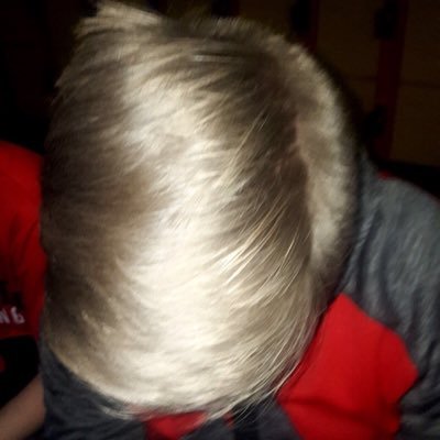 Profile Picture of Gordon Haas (@Gordonhaas4) on Twitter