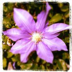 Rachael Brogdon - Instagram Profile Picture of Rachael Brogdon (@baileyray25) on Instagram