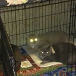 Profile Picture of Tara (@tarareppert18) on Instagram