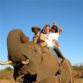 Profile Picture of Jeff Van Zandt (@ZandtJeff) on Twitter