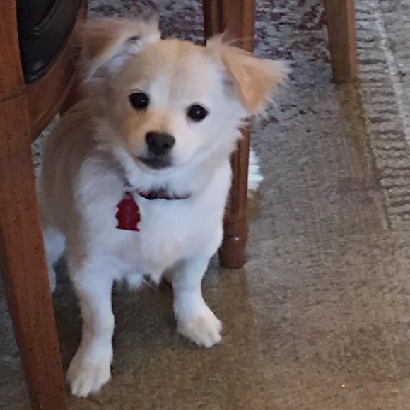 Profile Picture of Mary Romanski (@cracker235) on Poshmark