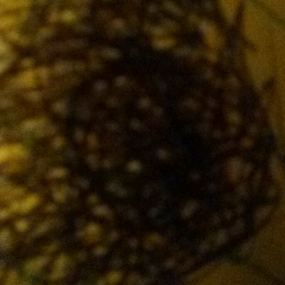 Profile Picture of Casey Russell (@peacenlove9797) on Poshmark