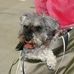 Profile Picture of Coco Eddie (@coco.eddie.5) on Facebook
