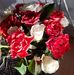 Profile Picture of Anke Schmidt (@anke.schmidt.92351) on Facebook