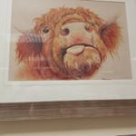 Profile Picture of Eric Hutchings (@erichutchings1) on Instagram